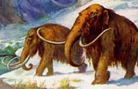 mammoth-lbl.jpg